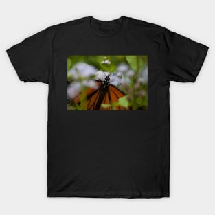 Butterfly Garden T-Shirt